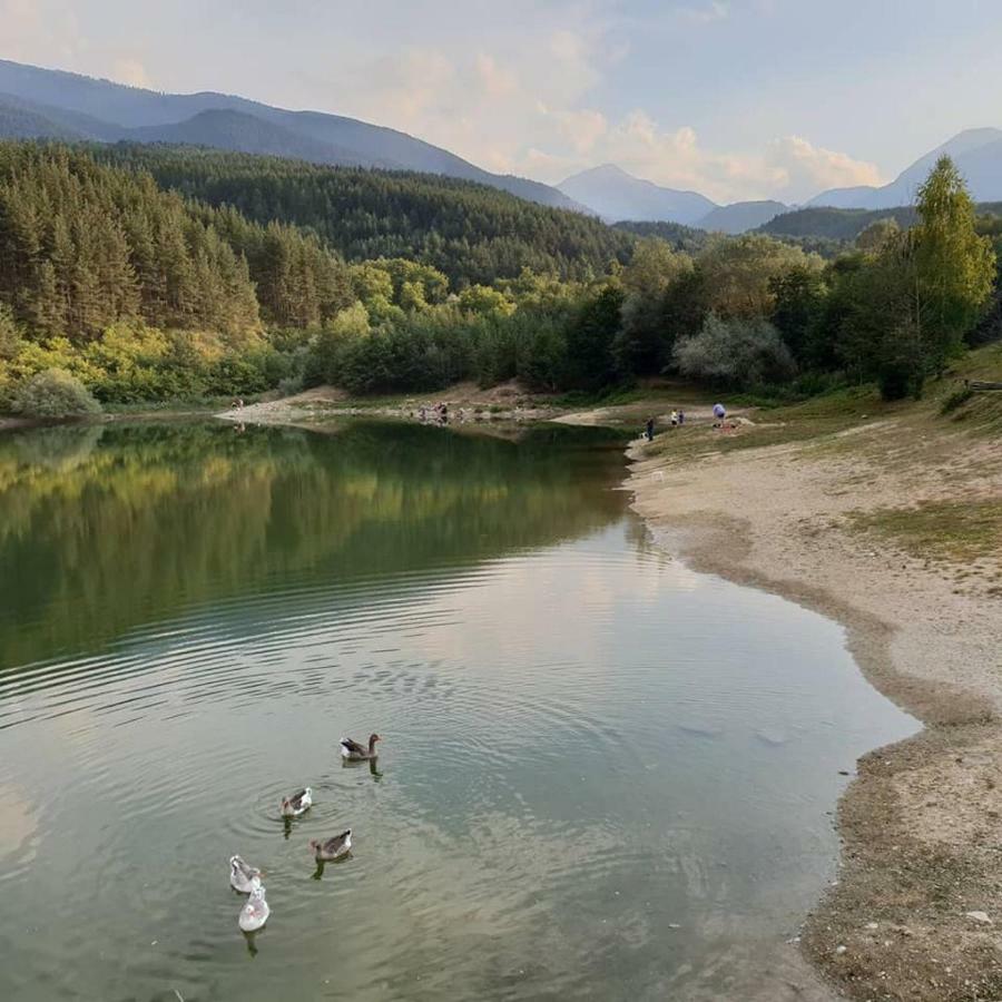 Fortuna Luxury Apartment Bansko Exterior photo